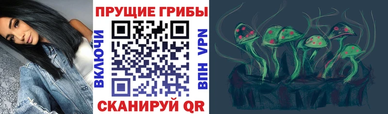 Галлюциногенные грибы Cubensis  блэк спрут маркетплейс  Куровское 